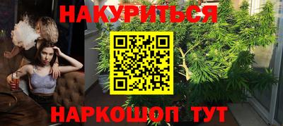 сатива Краснознаменск