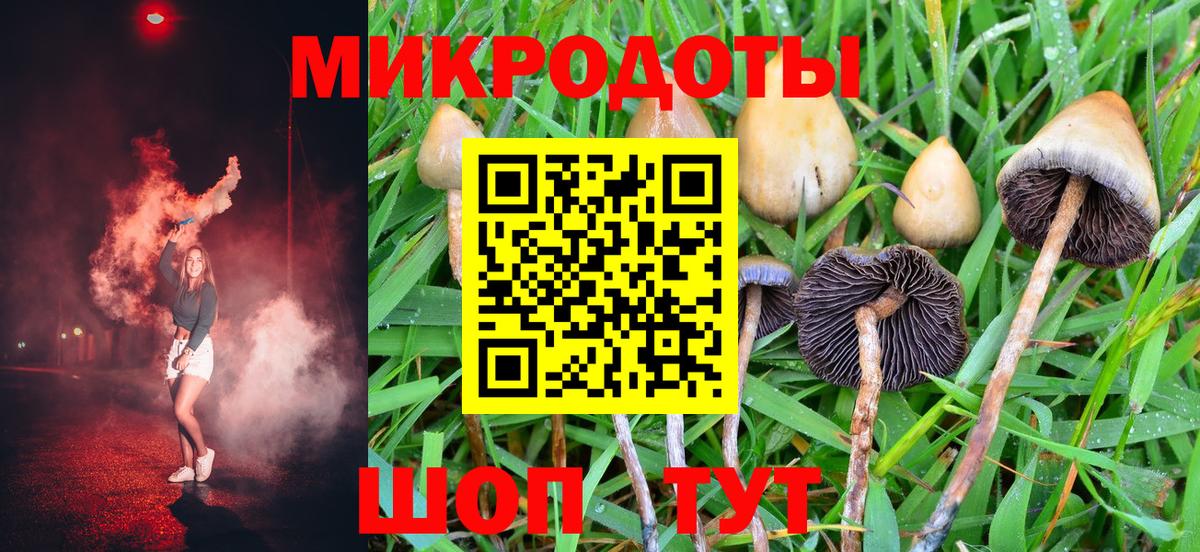 Псилоцибиновые грибы Psilocybine cubensis Донецк